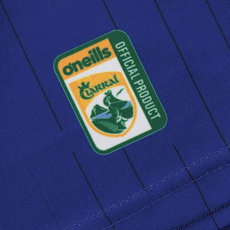 O'Neills Kerry GAA 2025 Alternative Jersey - Image 8