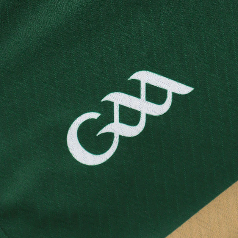 O'Neills Kerry GAA 2026 Home Jersey - Image 5