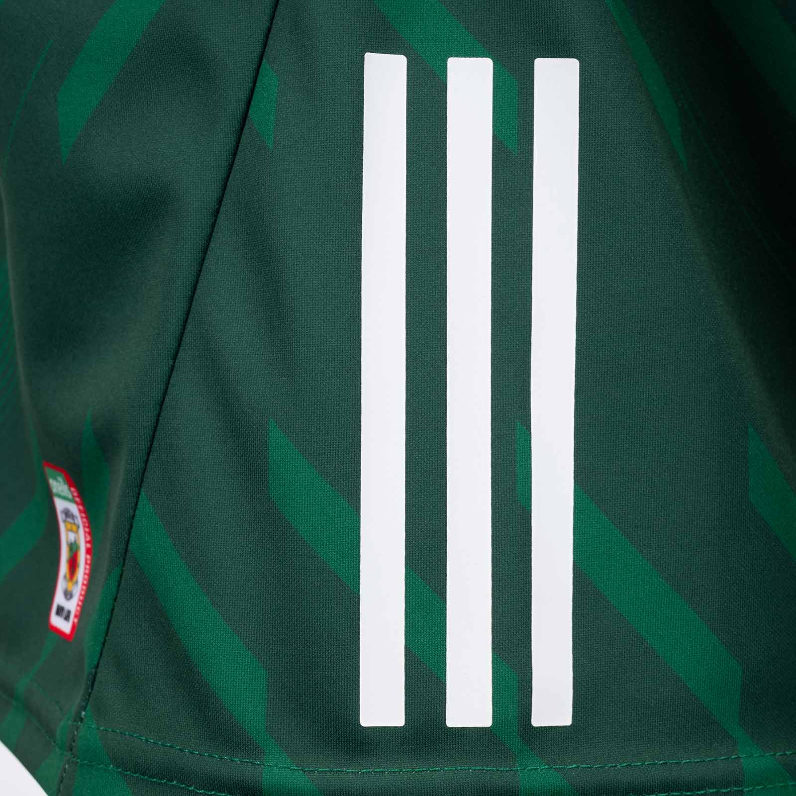 O'Neills Mayo GAA 2025 Womens Fit Home Jersey - Image 4