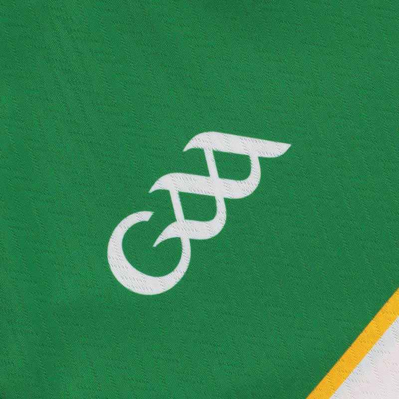 O'Neills Offaly GAA 2026 Home Jersey - Image 4