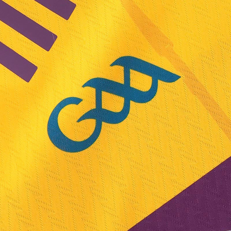 O'Neills Wexford GAA 2026 Womens Fit Home Jersey - Image 4