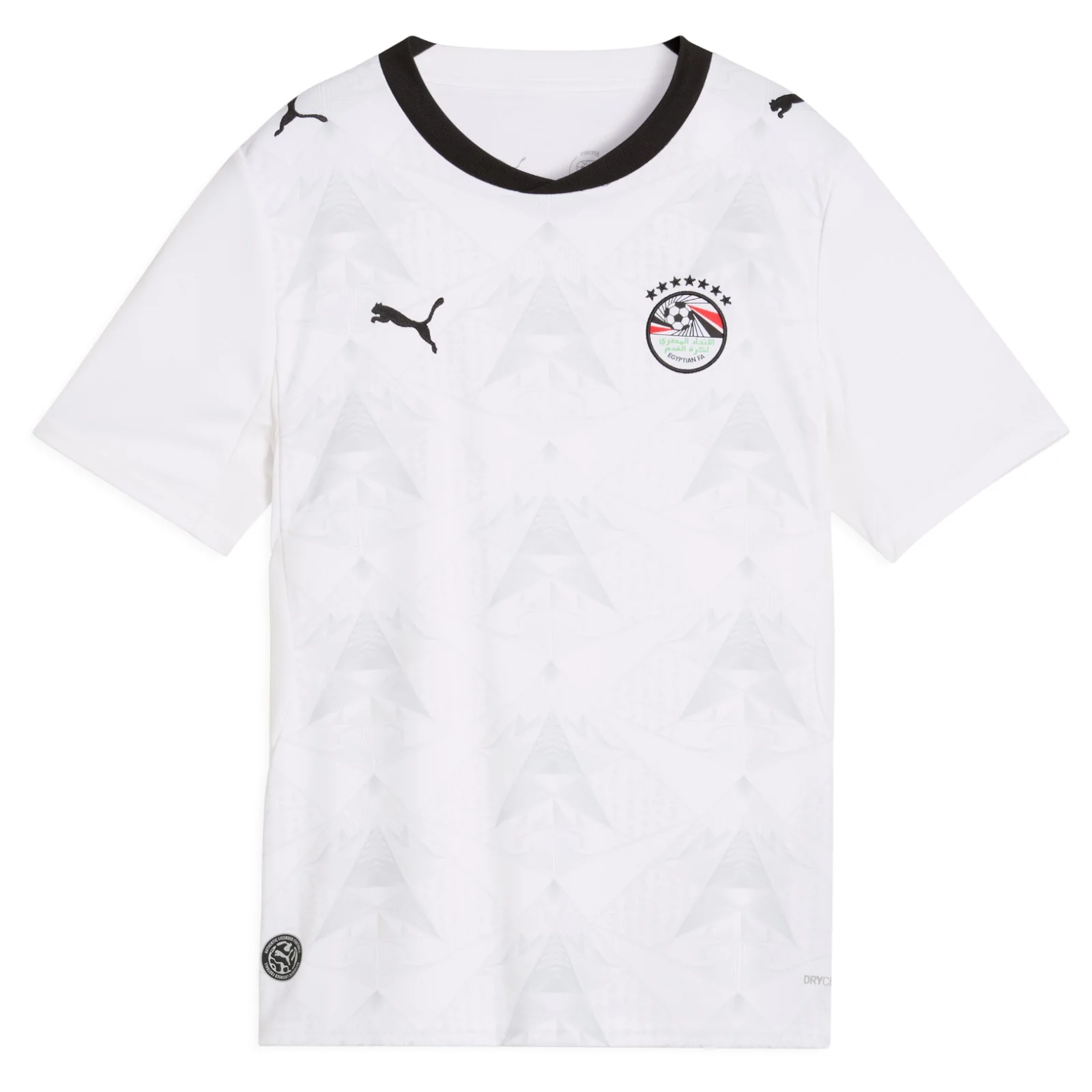 Puma Egypt Football World Cup 2026 Kids Away Jersey