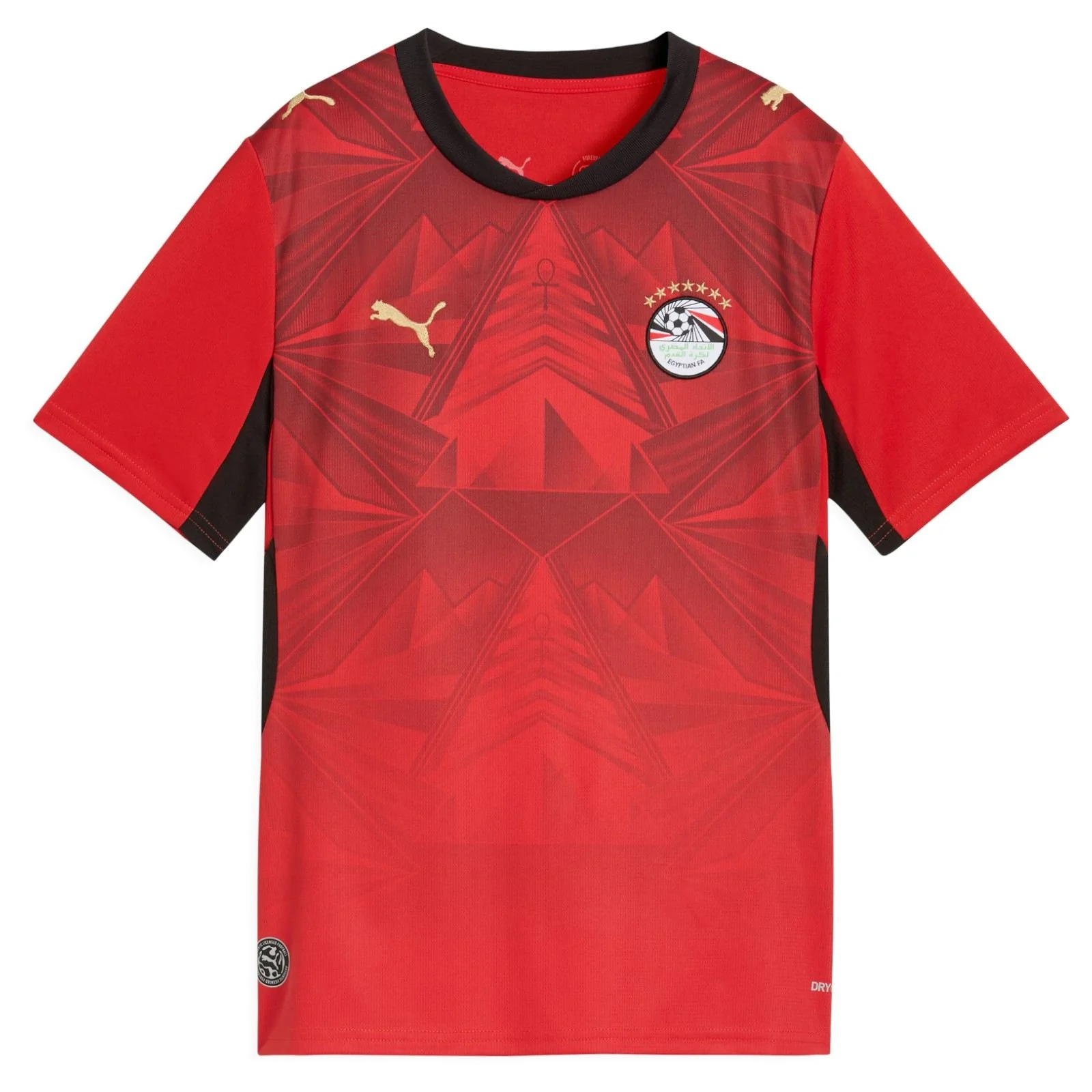 Puma Egypt Football World Cup 2026 Kids Home Jersey