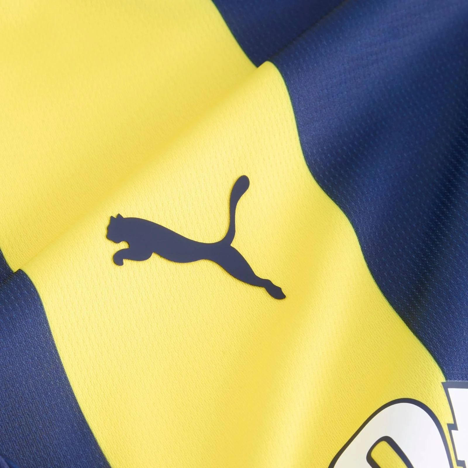 Puma Fenerbahçe Football 2024/25 Kids Home Jersey - Image 9