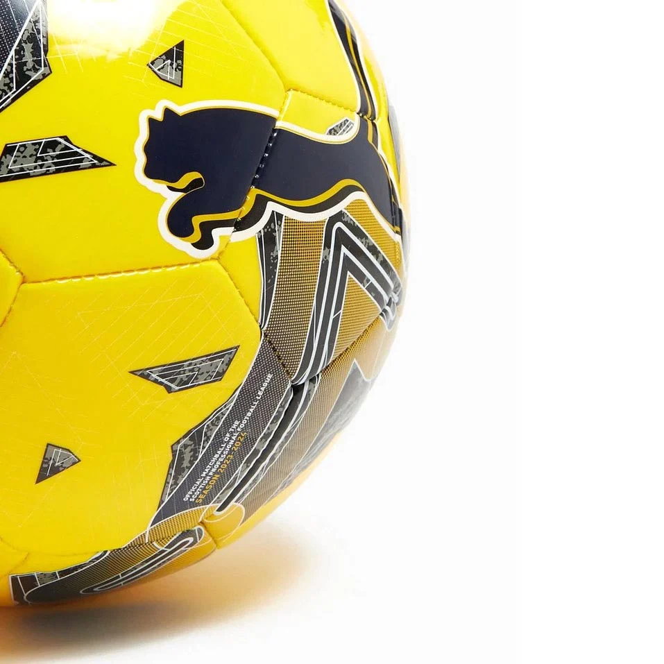 Puma Orbita 6 SPFL 2023/2024 Football - Image 3