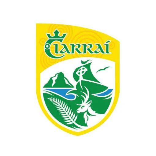 TCF Kerry GAA Handheld Flag - Image 2